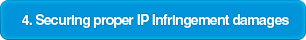 4. Securing proper IP Infringement damages
